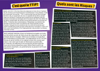 TTIP-Flyer01-V-ppfr.jpg